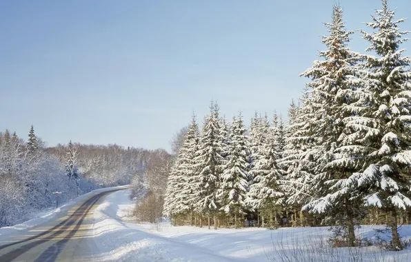 Картинка зима, дорога, лес, деревья, природа, фото, гора
