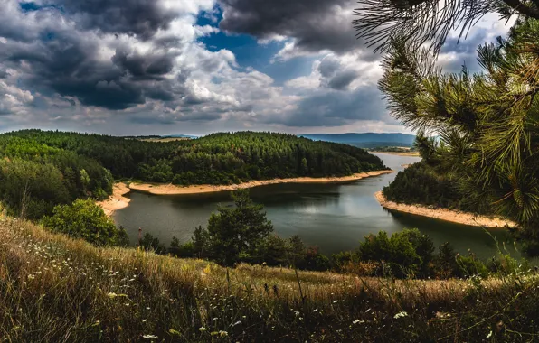 Лес, трава, облака, цветы, река, берег, вечер, луг