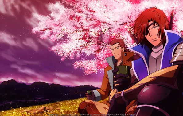 Поле, природа, самурай, парень, Sengoku Basara, Эпоха Смут