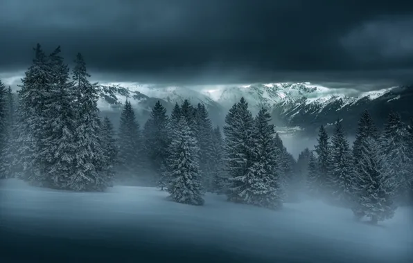 Зима, лес, снег, горы