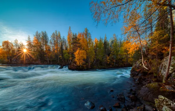 Картинка осень, лес, деревья, река, восход, рассвет, Финляндия, Finland