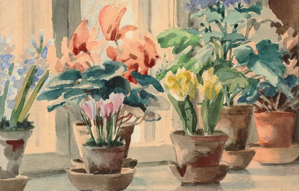Картинка цветы, подоконник, горшки, у окна, Акварель, Ольга Александровна Куликовская-Романова