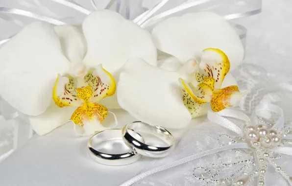 Цветы, кольцо, кружева, белые, орхидеи, бант, Orchid, Jewelry