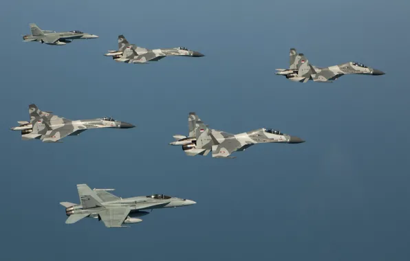 Небо, Полёт, sky, Истребители, Су-27, F-18, Su-27, ВВС Индонезии