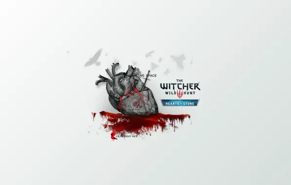 LiVE SPACE studio, The Witcher 1, CDPR, CDPROJEKT RED, Heart of stone, HoS