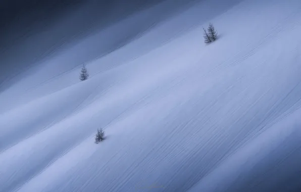 Зима, снег, природа