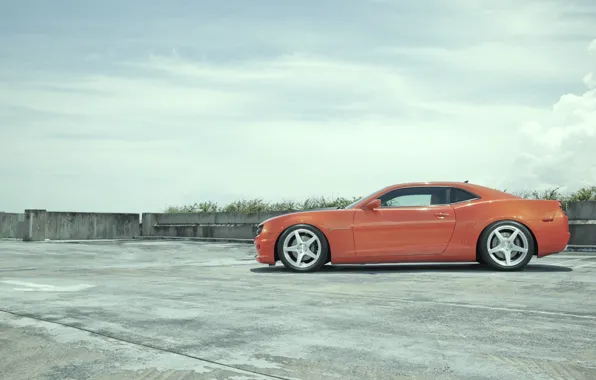 Camaro, orange, камаро