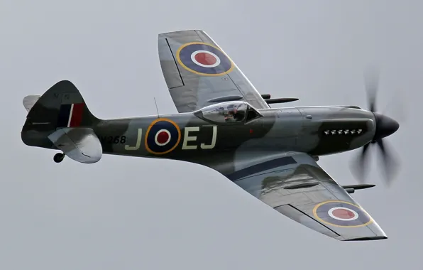 Картинка небо, истребитель, британский, одномоторный, WW2, Supermarine, Spitfire Mk. XIV