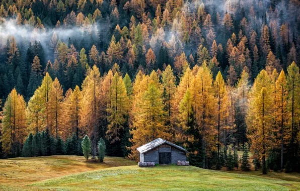 Поле, осень, деревья, горы, дымка, домик, краски осени, лиственницы