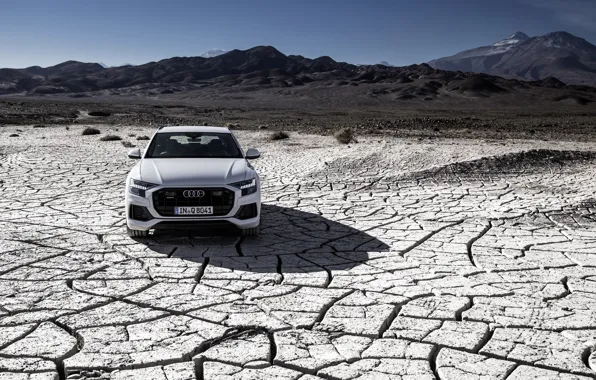 Quattro, 2018, кроссовер, 55 TFSI, Audi Q8