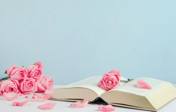 Картинка цветы, розы, лепестки, книга, розовые, бутоны, pink, flowers