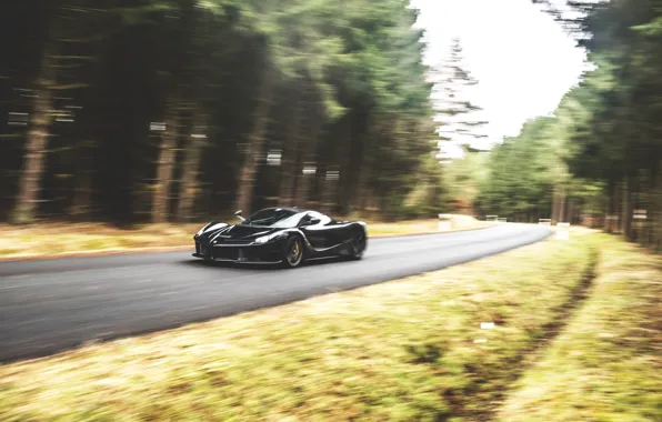 Ferrari, LaFerrari, moving, GFWilliams Photographer
