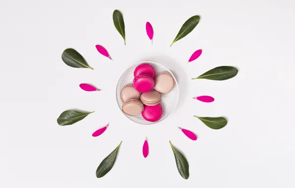 Цветы, petals, Sweet, Macaroons