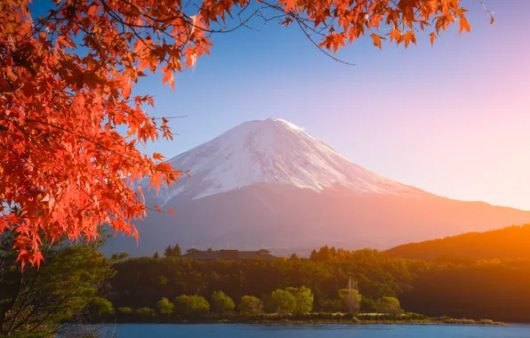 Картинка осень, небо, листья, colorful, Япония, Japan, red, клен