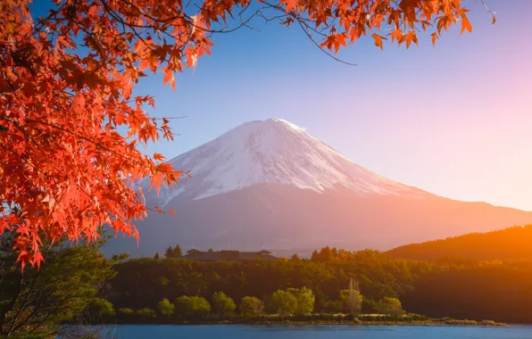 Осень, небо, листья, colorful, Япония, Japan, red, клен