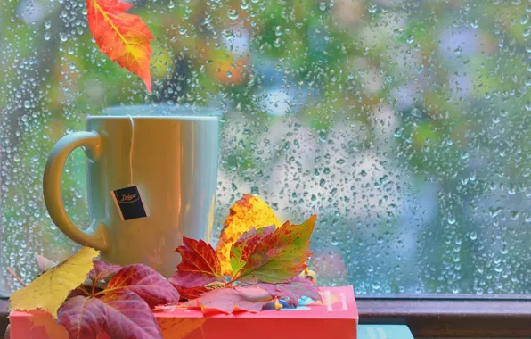 Картинка осень, листья, капли, дождь, книги, окно, чашка, still life
