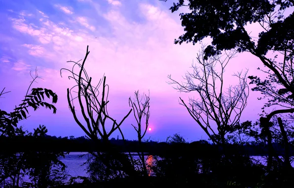 Sun, Water, Sunrise, Dawn, Morning, Lake, Trees, Reflection