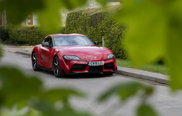 Асфальт, красный, листва, купе, Toyota, Supra, пятое поколение, mk5