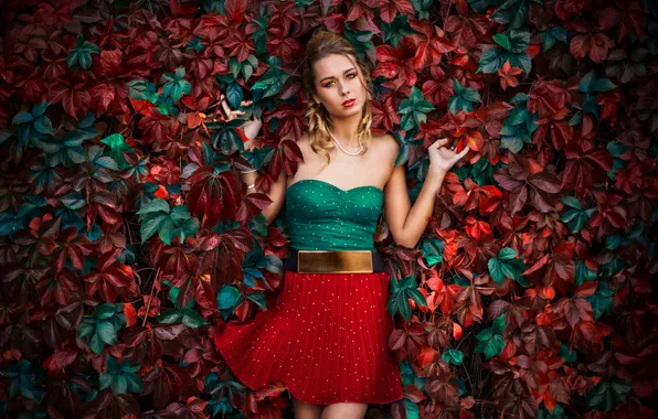 Взгляд, листья, девушка, фон, листва