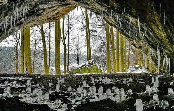 Германия, Бавария, Oswaldhöhle, пещера Освальда