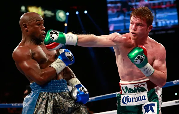 Картинка бокс, Floyd Mayweather, Флойд Мейвезер, Сауль "Канело" Альварес, Canelo Alvarez