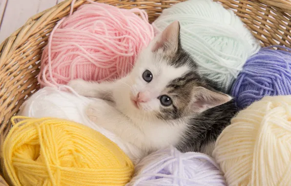 Кошка, взгляд, клубок, поза, котенок, лежит, нитки, мордашка