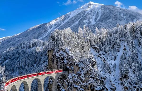 Картинка зима, снег, горы, поезд, Швейцария, ели, Альпы, железная дорога