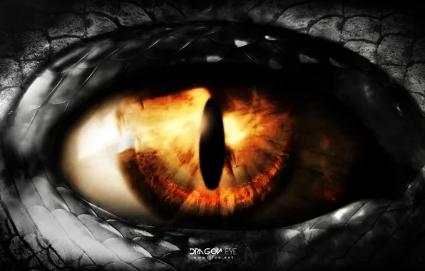 Картинка глаз, дракон, арт, t1na