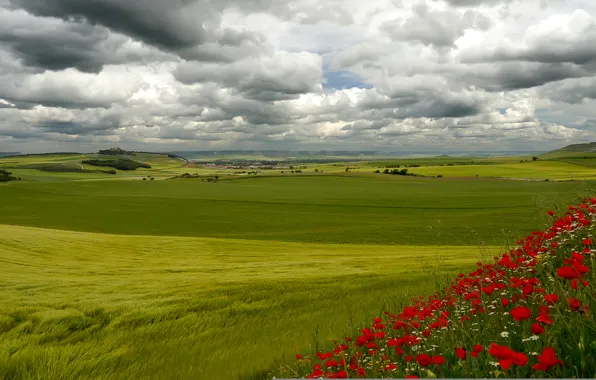 Картинка небо, трава, облака, деревья, цветы, дом, холмы, Италия
