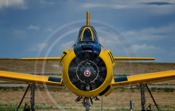 Самолёт, North American, Учебно-тренировочный, Trojan, T-28