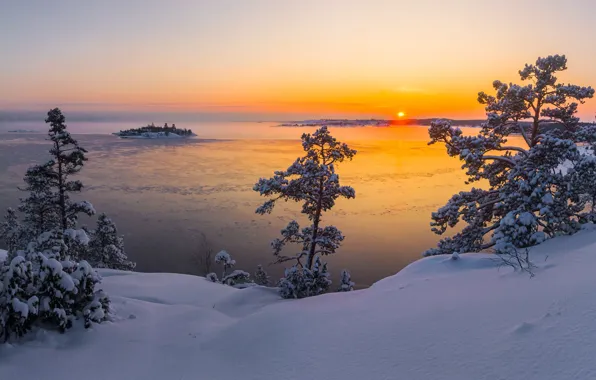 Картинка зима, солнце, снег, деревья, пейзаж, природа, озеро, рассвет