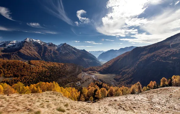 Картинка Switzerland, Autumn, Goldener Herbst, Alp Grüm