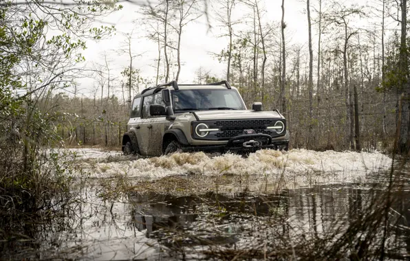 Картинка Ford, Вода, Деревья, Внедорожник, SUV, Sport utility vehicles, Спортивный внедорожник, Ford Bronco Everglades special edition