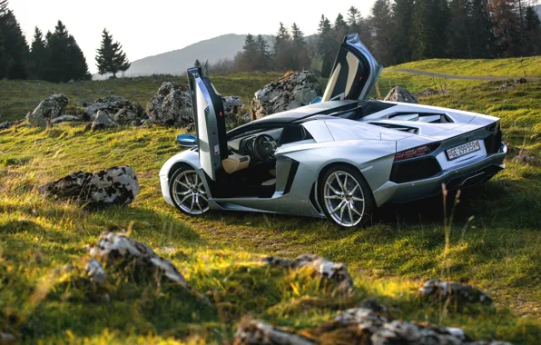 Картинка Silver, Roadster, Lamborghini, LP700-4, Aventador, Door, Nature, Rear