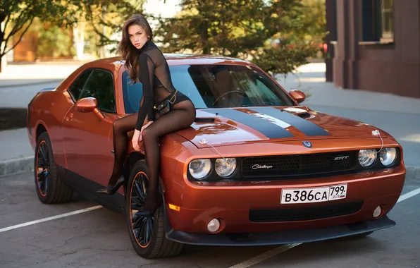 Машина, авто, девушка, поза, колготки, ножки, Dodge Challenger, длинные волосы