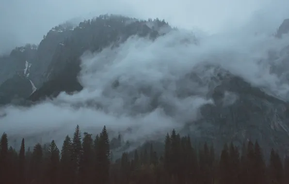 Картинка небо, деревья, горы, природа, туман, скалы