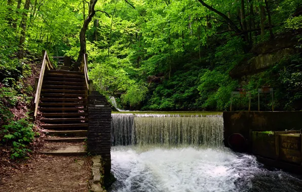 Картинка зелень, лес, деревья, водопад, лестница, США, Spring Mill State Park