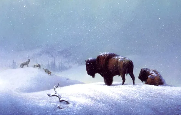 Картинка art, wolves, buffalo, the last stand