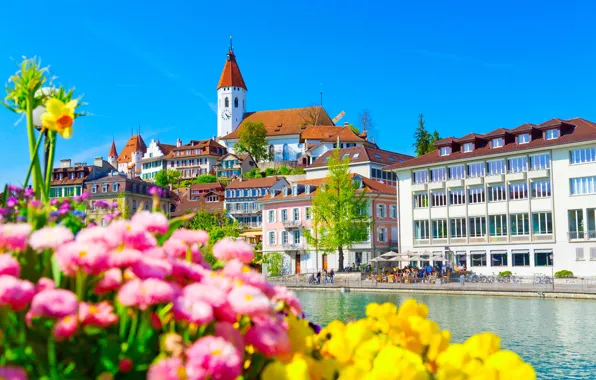 Цветы, река, здания, дома, Швейцария, набережная, Switzerland, река Аре