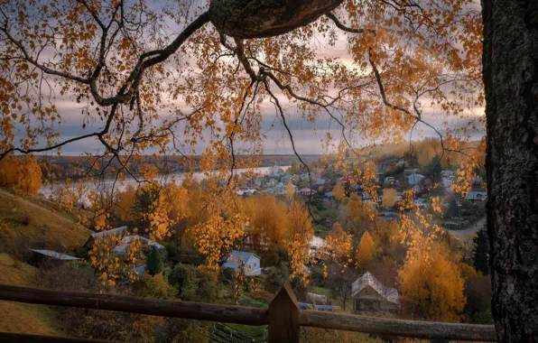 Картинка осень, деревья, пейзаж, ветки, природа, город, река, дерево