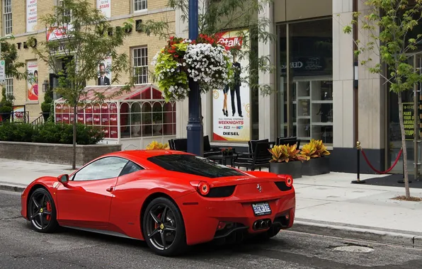 Кафе, магазин, ferrari 458 italia