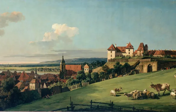 Замок, овцы, луг, пастух, Bernardo, выпас скота, View of Pirna from the Sonnenstein Castle, Bellotto