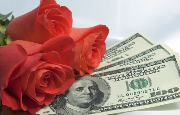 Букет роз с деньгами (73 фото)