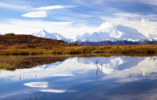 Картинка озеро, отражение, Аляска, гора Мак-Кинли, национальный парк Денали