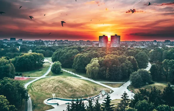 Lietuva, Kaunas, paukščiai