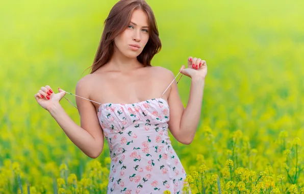 Long hair, field, nature, brunette, countryside, gorgeous, posing, beautiful face
