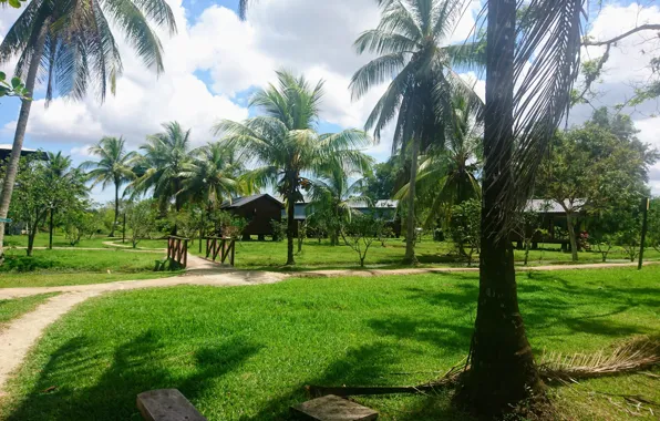 Wallpapers Suriname, Resorts in Suriname, Plantage Frederiksdorp Suriname, Wallpaper Surinam, Frederiksdorp Surinam