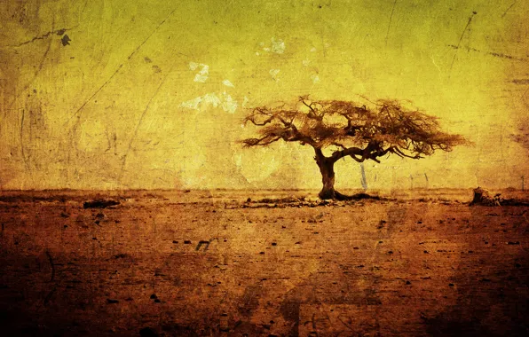 Деревья, жёлтый, дерево, рисунок, жара, минимализм, текстура, грязь