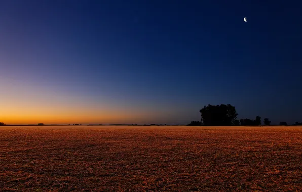Картинка поле, небо, закат, луна, вечер