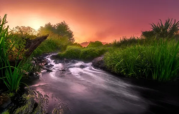 Картинка закат, природа, река